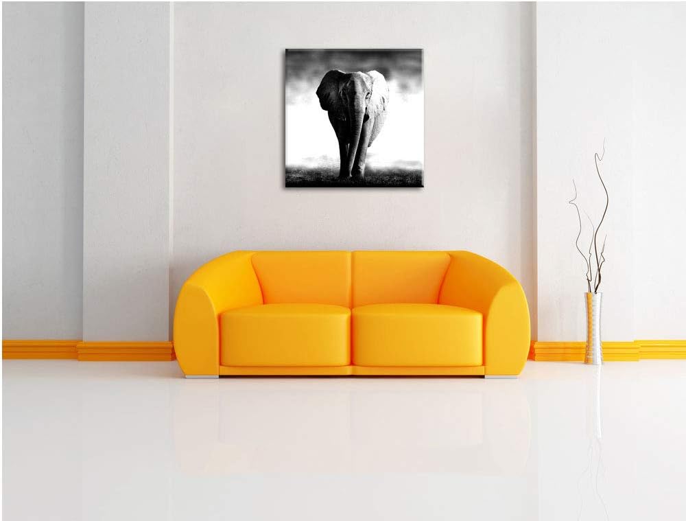 Pixxprint Elefant im Alleingang als Leinwandbild/Grösse: 70x70 cm/Wandbild/Kunstdruck/fertig bespann