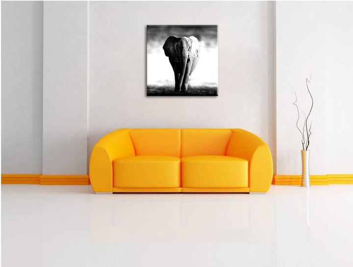 Pixxprint Elefant im Alleingang als Leinwandbild/Grösse: 70x70 cm/Wandbild/Kunstdruck/fertig bespann