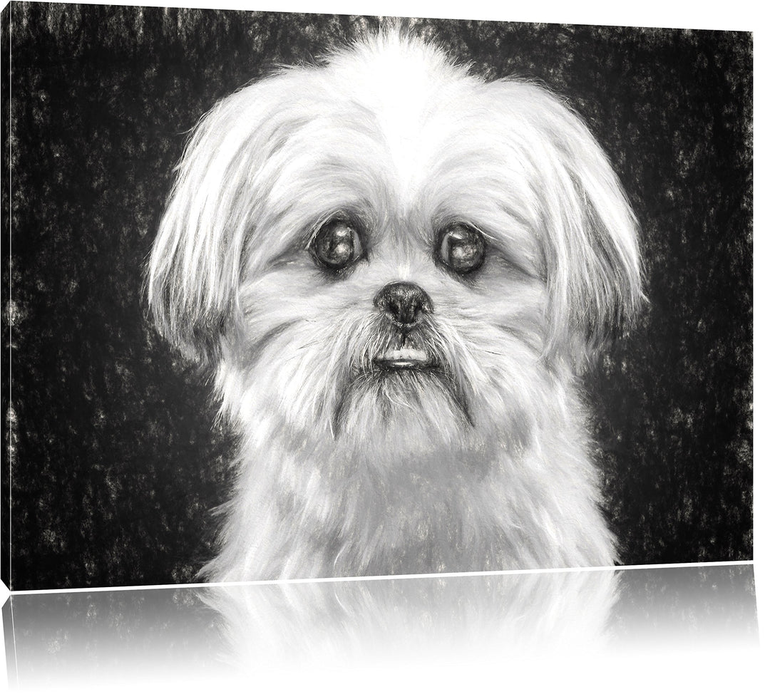Pixxprint lustiger Kleiner Hund Kunst als Leinwandbild/Grösse: 100x70 / Wandbild/Kunstdruck/fertig b
