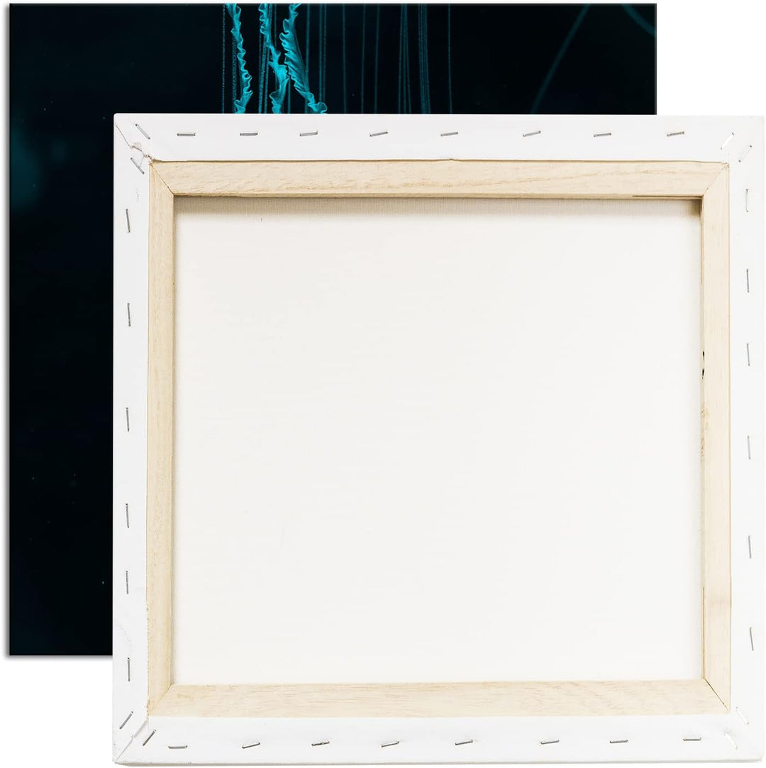 deyoli die langen Tentakel einer Qualle Format: 60x60 als Leinwandbild, Motiv fertig gerahmt auf Ech