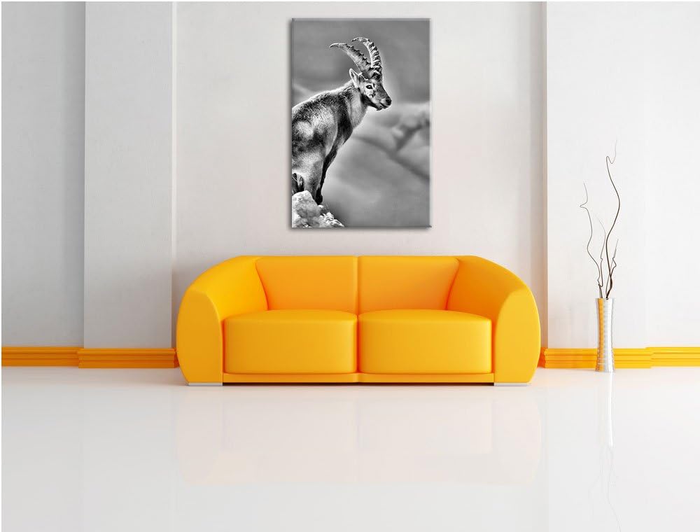 Pixxprint Steinbock im Schnee als Leinwandbild/Grösse: 100x70 / Wandbild/Kunstdruck/fertig bespannt,