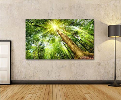 islandburner Bild Bilder auf Leinwand Leuchtender Wald Sonne Bäume 1p XXL Poster Leinwandbild Wandbi