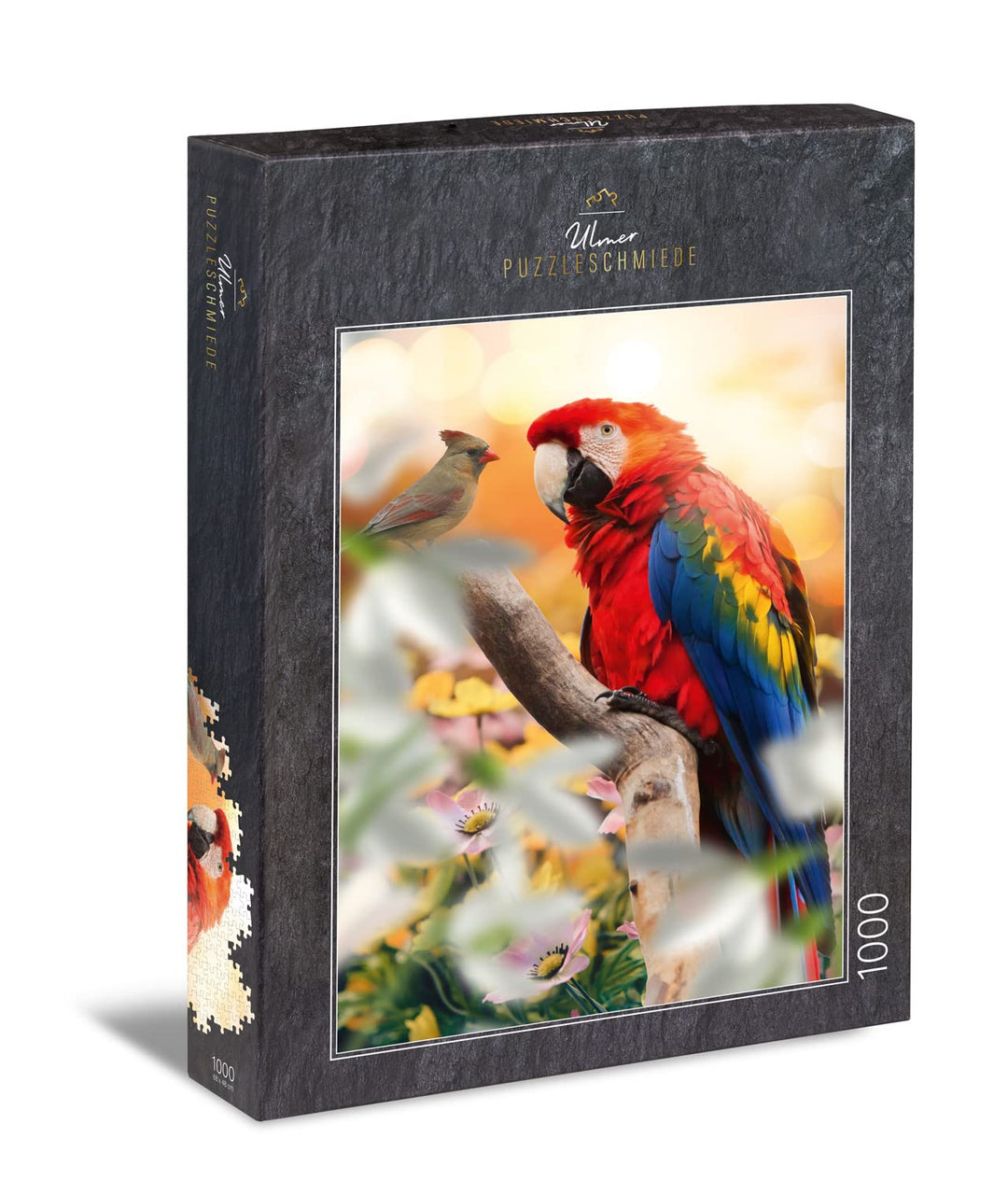 Ulmer Puzzleschmiede - Puzzle „Papagei“ - Klassisches 1000 Teile Puzzle – Farbenfrohes Tierpuzzle, r