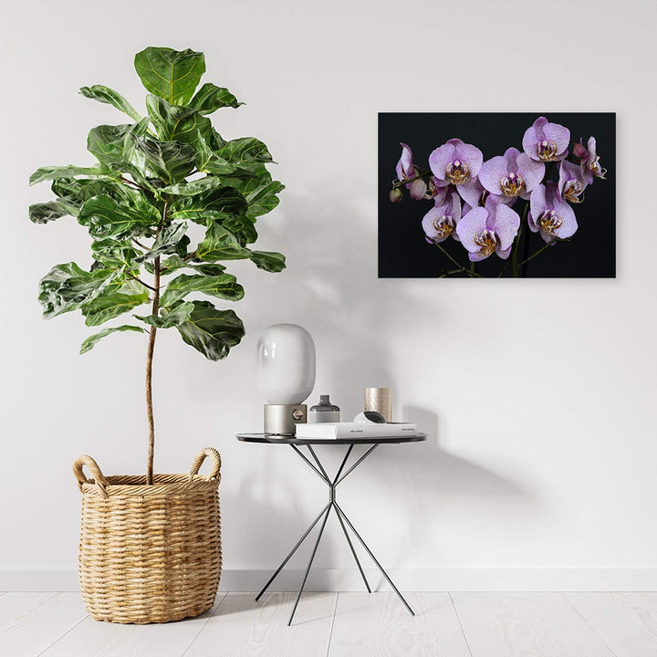 Wandbild Orchideen Modern Deko Kunst Bilder für Wohnung Violett 90x60 cm Deko Paneel 90x60 cm Violet