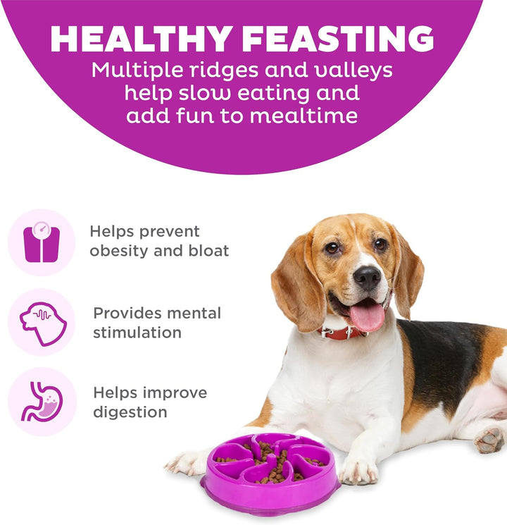 Outward Hound Kyjen 51005 Fun Feeder Slow Feed Interaktiver Bloat-Stop-Futternapf für Hunde, Grösse