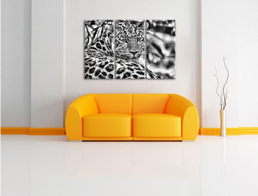 Pixxprint aufmerksamer Leopard im Schatten als Leinwandbild/Grösse: 3 Teilig (120x80) cm/Wandbild/Ku