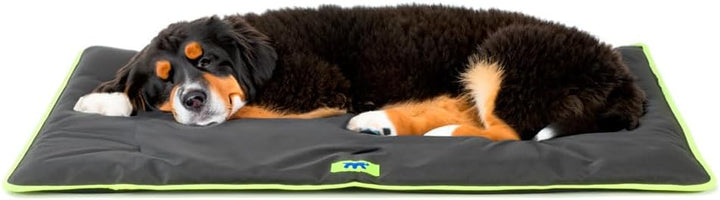 FERPLAST Hundematte Extra Gross - Waschbares Hundebett - Hundekissen - Wasserdicht & Kratzfest - Mat