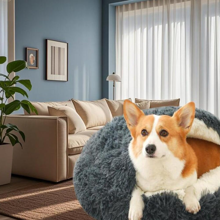 Flauschig Hundebett Muschelform Katzenbett Warm Tierbett Haustierbett Waschbar Hundesofa Katzensofa