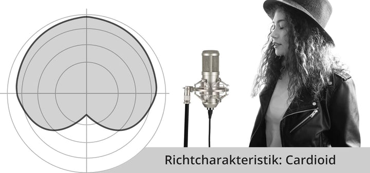 Pronomic CM-100S Studio Grossmembranmikrofon XLR-Kondensatormikrofon (mit Mikrofonspinne, Etui, Wind