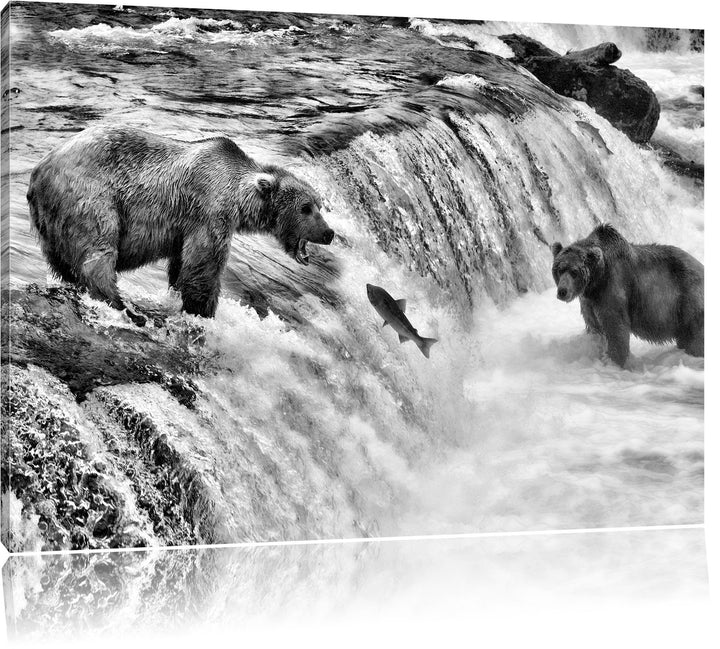 Pixxprint Bären fangen Lachs als Leinwandbild | Grösse: 100x70 | Wandbild| Kunstdruck | fertig bespa
