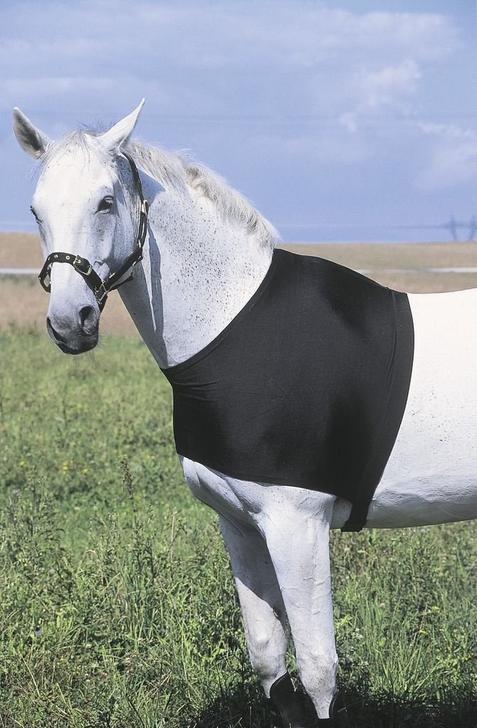 Equi-Theme/Equit'M L Schwarz, L Schwarz
