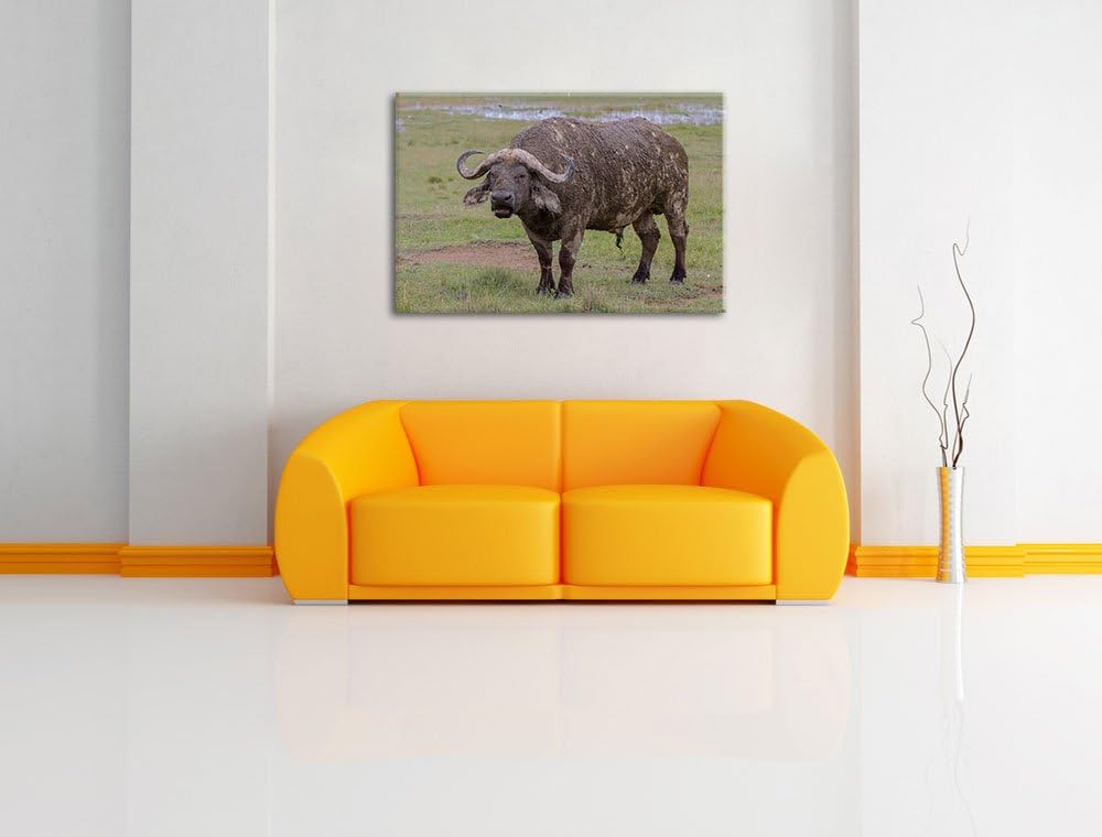 Schlamm verschmierter Kaffernbüffel Leinwand, XXL riesige Bilder fertig gerahmt mit Keilrahmen, Kuns