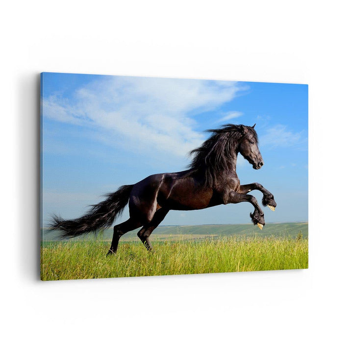 Bilder auf Leinwand 100x70cm Leinwandbild Schwarzes Pferd Pferd Galopp Gross Wanddeko Bild Schlafzim