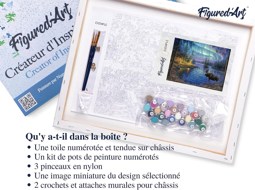 Figured'Art Malen Nach Zahlen Erwachsene Mit Rahmen Elch und Aurora Borealis - Paint by Numbers Bast