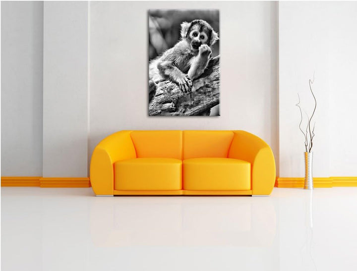 Pixxprint Kapuzineräffchen / 100x70cm Leinwandbild bespannt auf Holzrahmen/Wandbild Kunstdruck Dekor