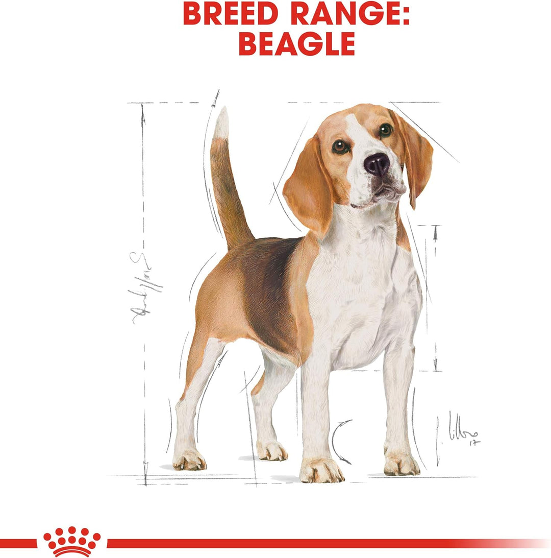 Royal Canin Beagle Adult 12 kg Corn Poultry