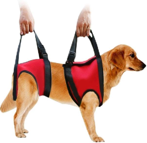 FILFEEL Hunde Tragehilfe vorne Hund Unterstützung Harness Pet Gehhilfe Heben Ziehen Weste Sling Unte