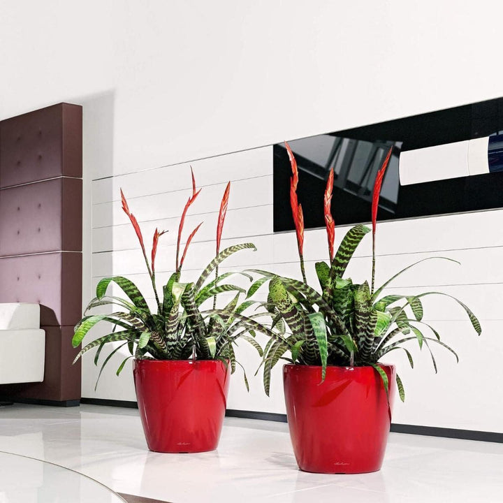 LECHUZA CLASSICO Premium LS 43 scarlet rot hochglanz 16087 43.5x43.5x39.5 cm Scarlet Rot Hochglanz E