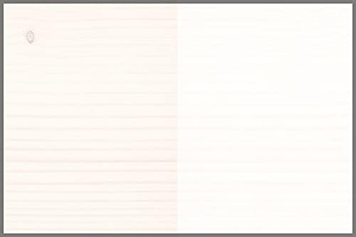 Osmo Dekorwachs Transparent 0,75 l (Weiss matt 3186) + Flächenstreicher Pinsel von Pfahler, Weiss Ma