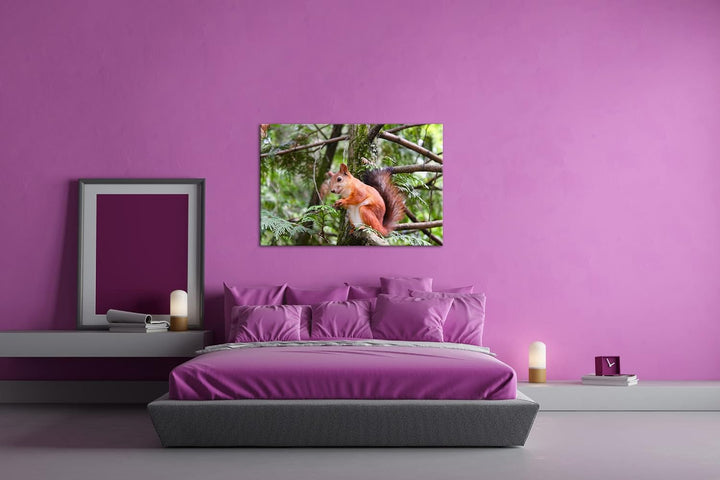 deyoli niedliches Eichhörnchen Format: 80x60 als Leinwand, Motiv fertig gerahmt auf Echtholzrahmen,
