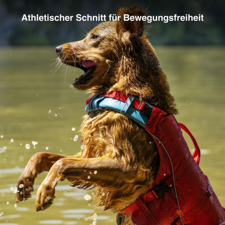 Kurgo Surf N Turf Hundeschwimmweste, Reissfestes Material, Mit Reflektoren und 2 Griffen ausgestatte