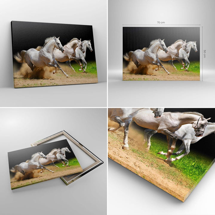 Bilder auf Leinwand Pferde Sand Gras Leinwandbild mit Rahmen 70x50cm Wandbilder Dekoration Wohnzimme