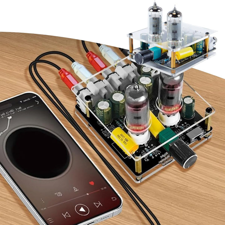 Audioverstärker 6j3 Vakuumröhre mit HIFI-Vorverstärker DC-Eingang Gallenpufferlautsprecher mit Upgra