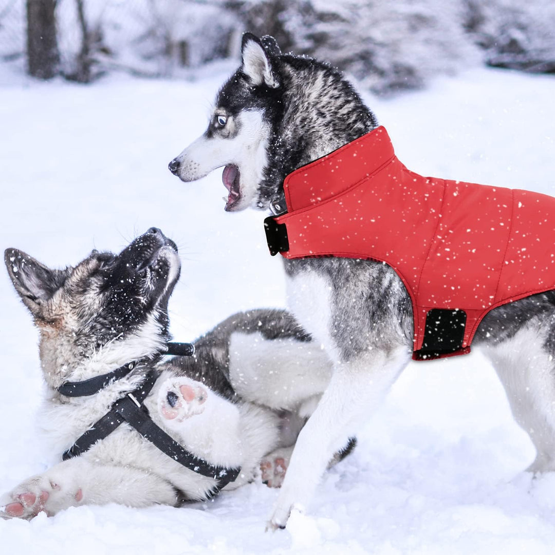 Warme Hundemantel Winter, Hundemantel mit Bauchschutz, Wintermantel für Hunde mit Reflektierend, Wen
