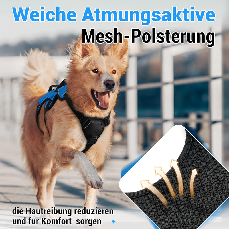 rabbitgoo Ausbruchsicheres Hundegeschirr Mittelgrosse Hunde mit Griff, Anti Zug Sicherheitsgeschirr