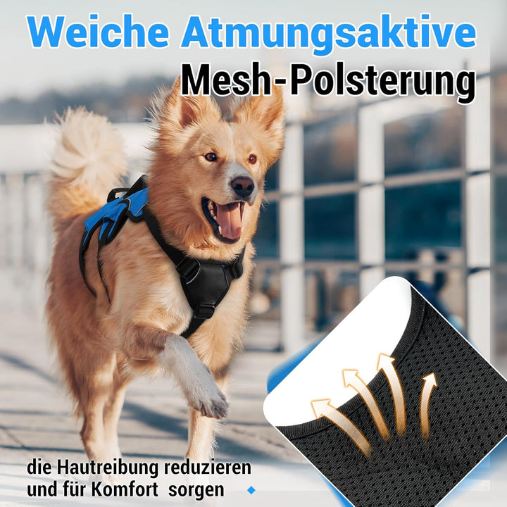 rabbitgoo Ausbruchsicheres Hundegeschirr Grosse Hunde mit Griff, Anti Zug Sicherheitsgeschirr Hund A