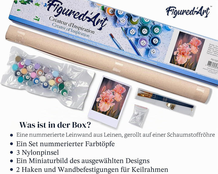 Figured'Art Malen Nach Zahlen Erwachsene Mit Rahmen Pop Art Löwe - Paint by Numbers Basteln DIY Bast