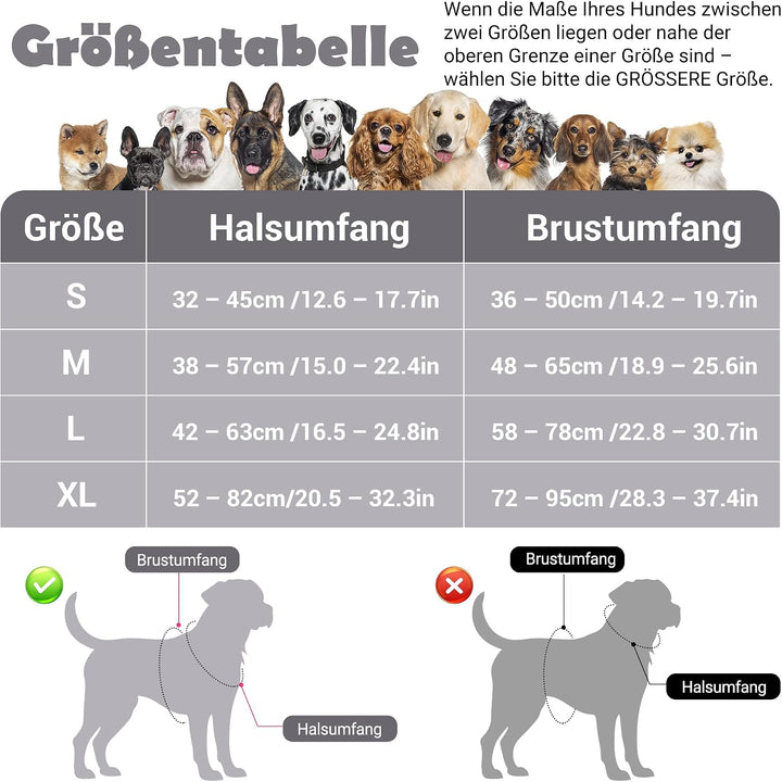 Funfox Hundegeschirr Kleine Hunde [S] - Anti Zug Welpengeschirr mit Griff &amp; Ringreflektoren, Atmungs
