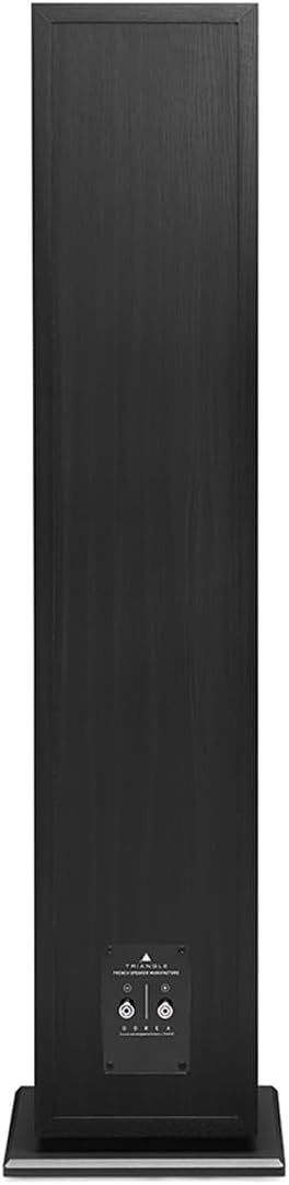 Triangle - BOREA BR08 Hi-Fi Standlautsprecher - Zulässige Leistung 150W - Ausgang 92dB/W/m - 16cm La