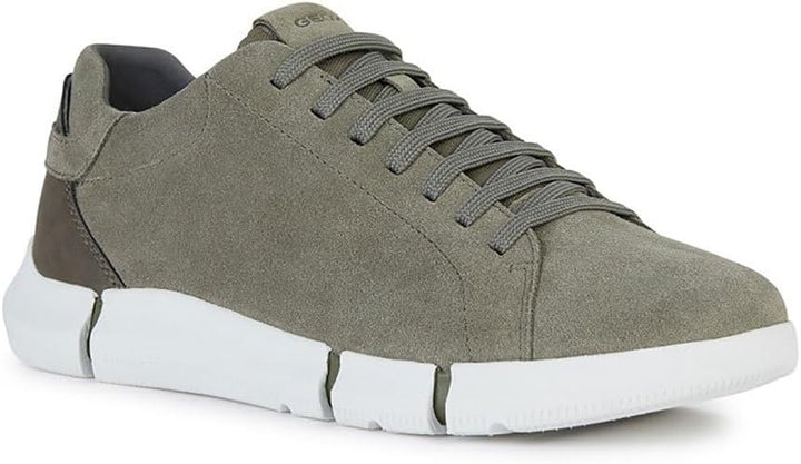 Geox Herren U Adacter A Sneakers 42 EU Sage, 42 EU Sage