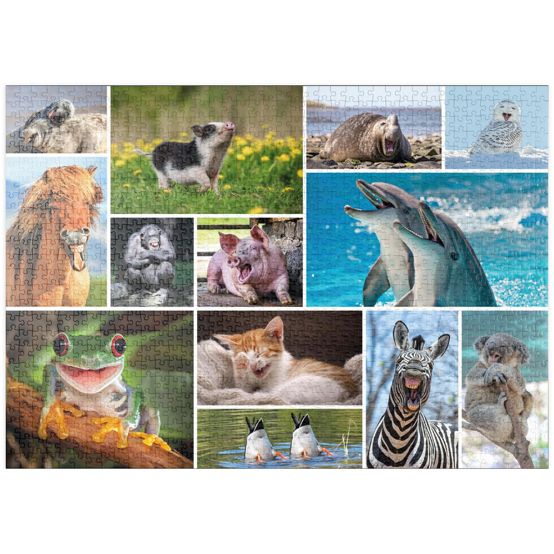 Tierisch Lustig - Collage No. 1 - Premium 1000 Teile Puzzle - MyPuzzle Sonderkollektion von Starnber