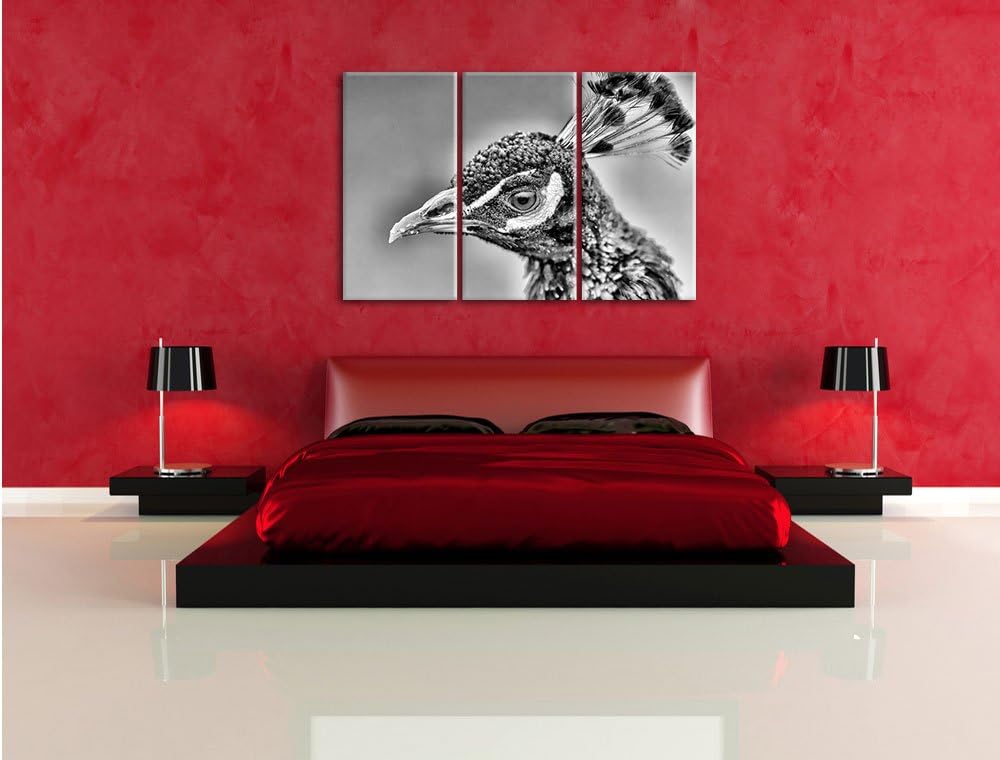 Pixxprint schöner farbenfroher Pfau als Leinwandbild/Grösse: 3 Teilig (120x80) cm/Wandbild/Kunstdruc