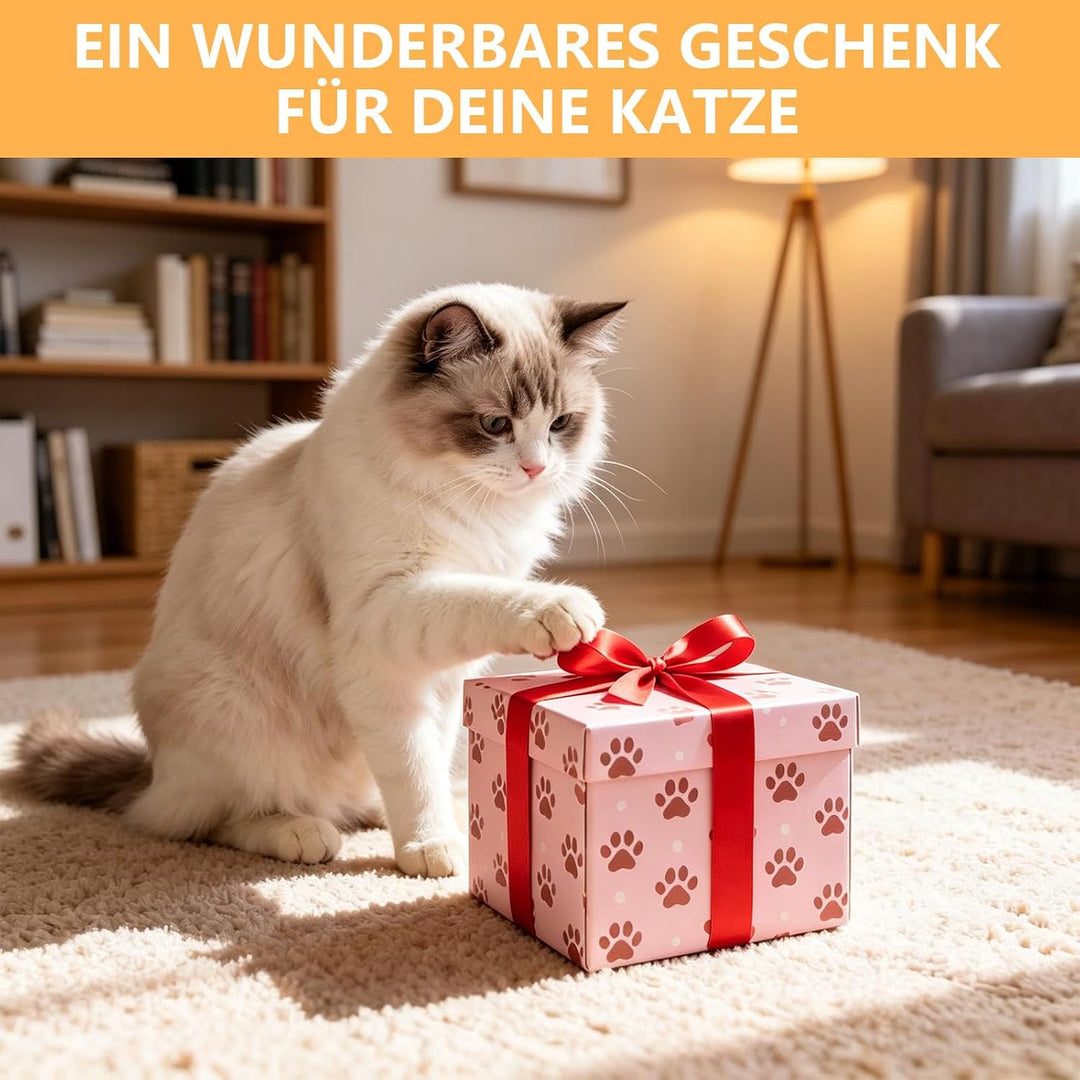 Katzenspielzeug Selbstbeschäftigung aus Holz mit 5 Trackball