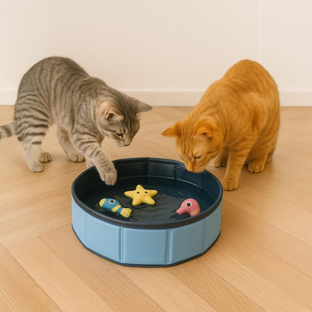 Swimmingpool Schwimmbecken für Katzen Katzenpool Katzenplanschbecken Katzenbadewanne, Faltbarer -Kat