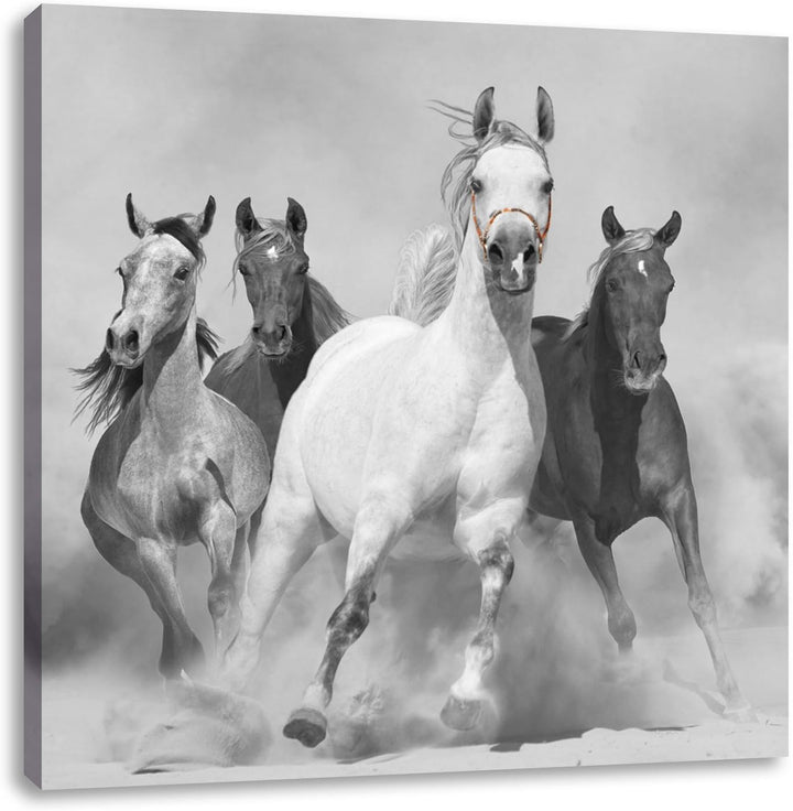 Pixxprint Mustangs ausgelassen in der Wüste als Leinwandbild | Grösse: 70x70 cm | Wandbild| Kunstdru