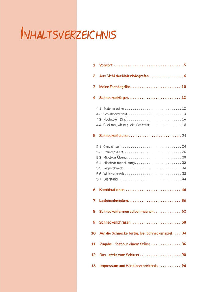 Natürlich Töpfern - Archischnecktur, Schritt-für-Schritt-Anleitungen, über 250 Bilder, Taschenbuch