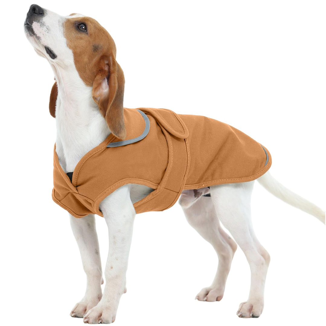 Kuoser Wasserdicht Hundemantel Hundejacke für Kleine Mittelgrosse Hunde, Reflektierende Leinwand Win