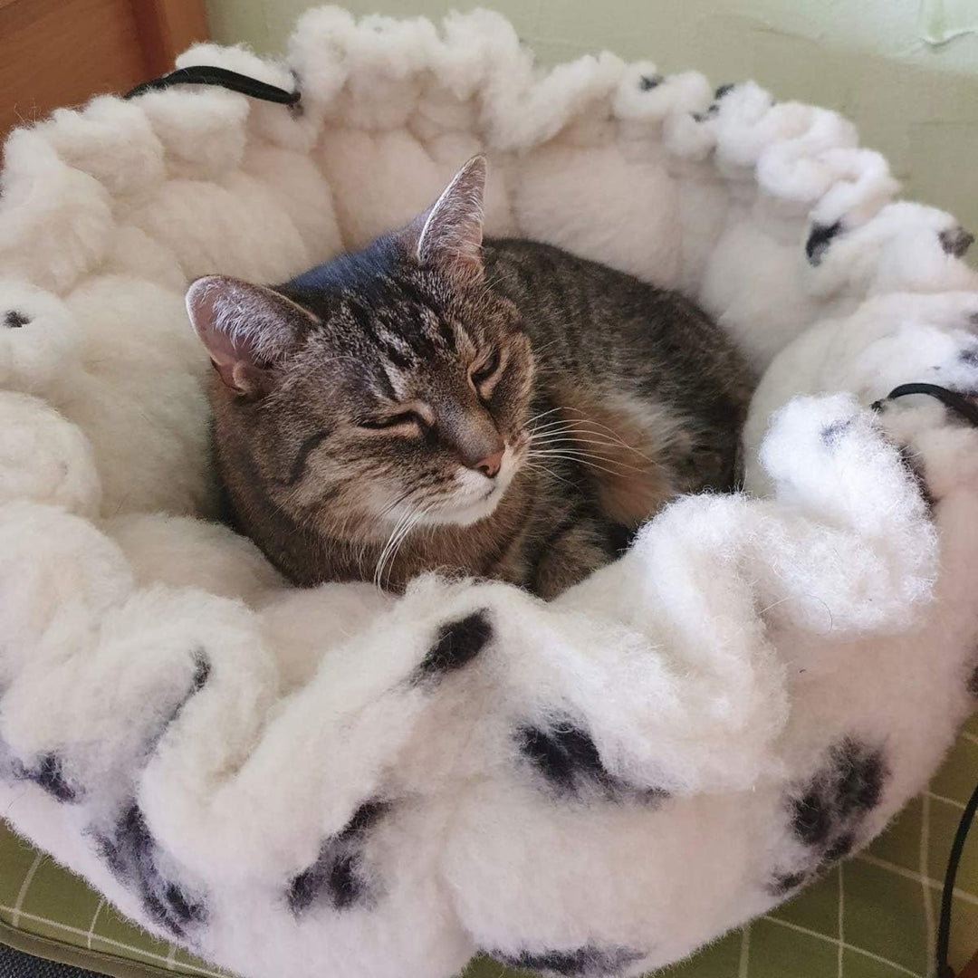 Hollert Haustier Kokon 2 in 1 Versteck aus Merinowolle Katzenkorb Tierbett Schlafplatz Versteck kusc