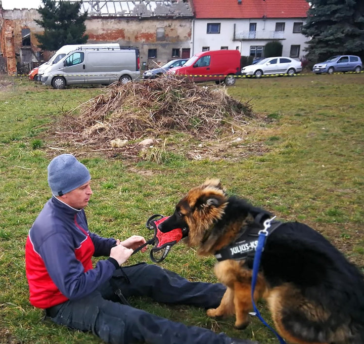 Dingo Gear Beisskissen Keilform Mini Weicher aus Baumwolle-Nylon Rot Welpen und Junge Hunde Ausbildu