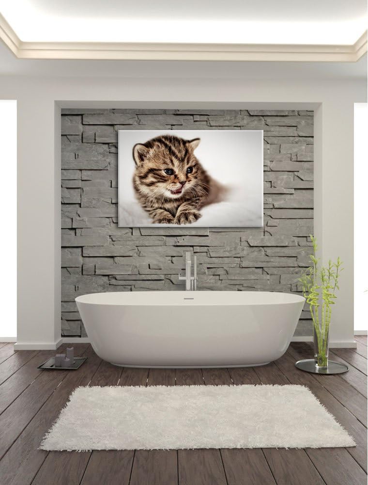 kleines Kätzchen auf weisser Decke auf Leinwand, XXL riesige Bilder fertig gerahmt mit Keilrahmen, K