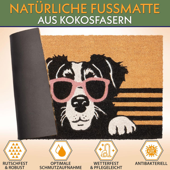 BRUBAKER Fussmatte für Aussen und Innen - Hund mit Sonnenbrille - 45 x 75 cm Schmutzfangmatte aus 10