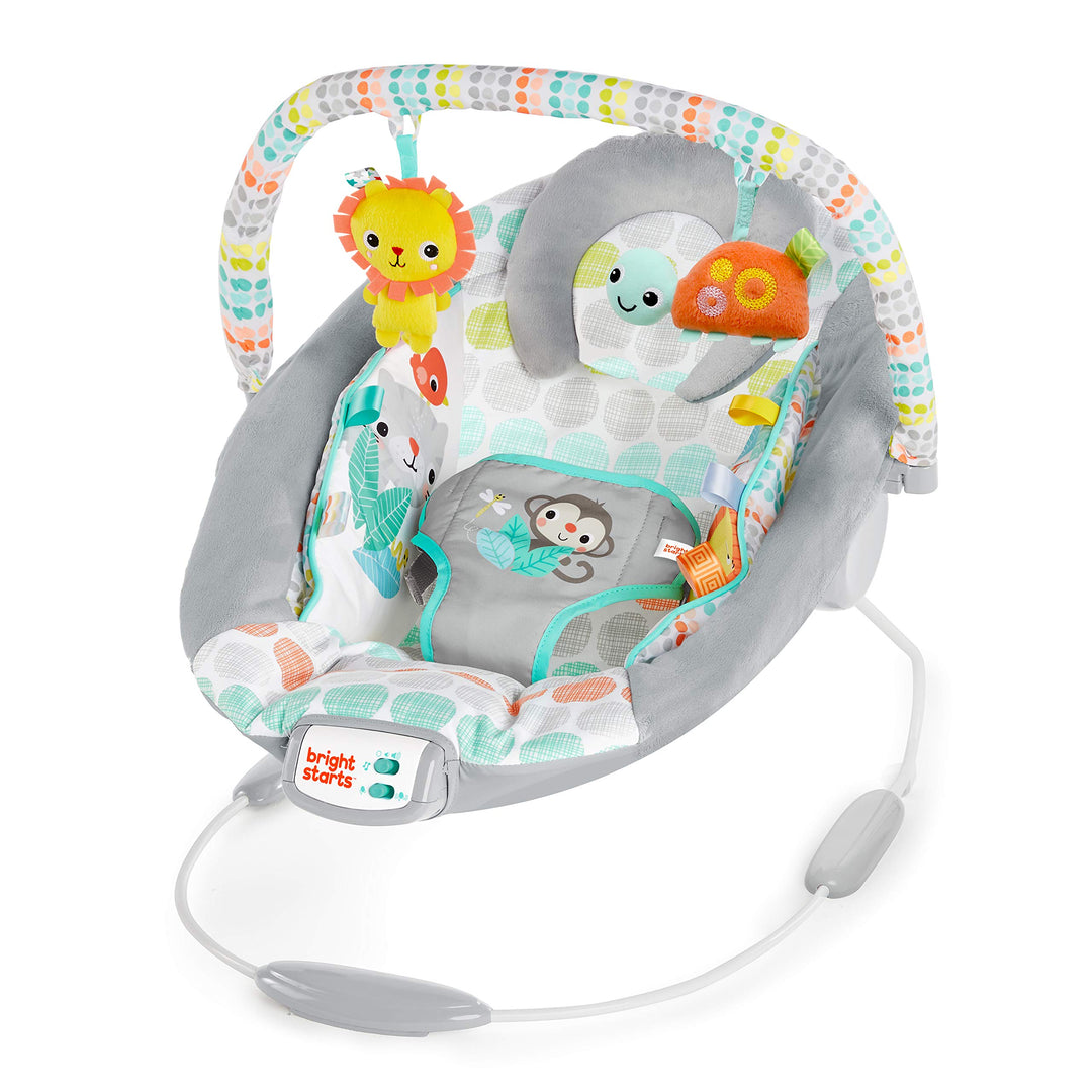 Bright Starts, vibrierende Wippe, Whimsical