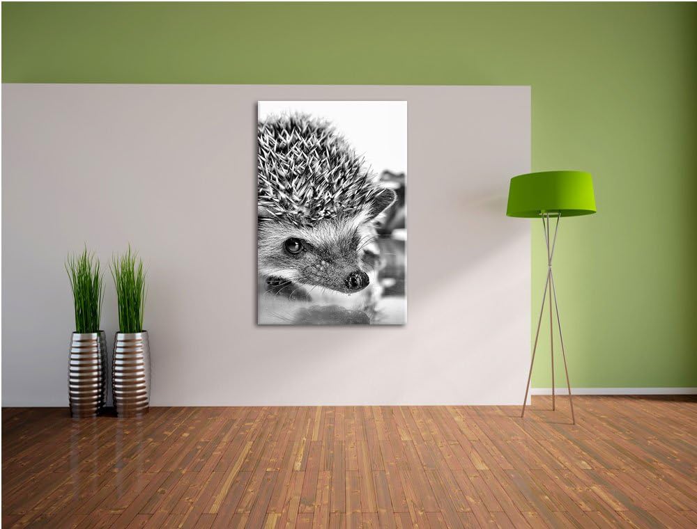 Monocrome, Süsser Igel , Format: 100x70 auf Leinwand, XXL riesige Bilder fertig gerahmt mit Keilrahm