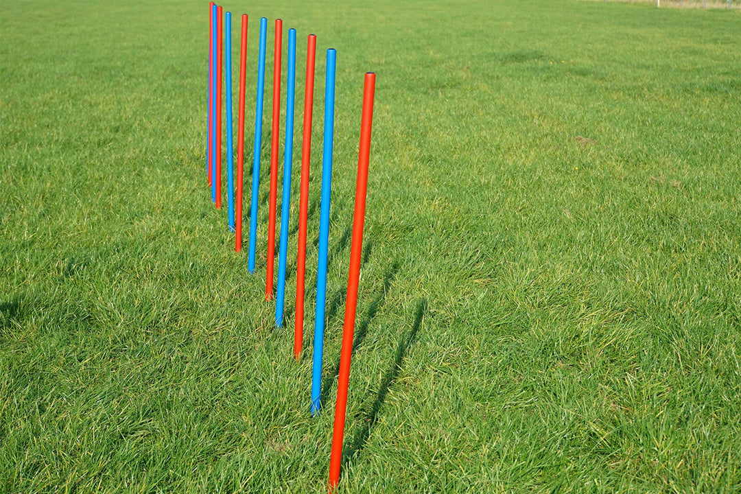 Agility-ÜBUNGS-Slalom-Set BLAU/ROT Flexible, RUNDE STANGEN