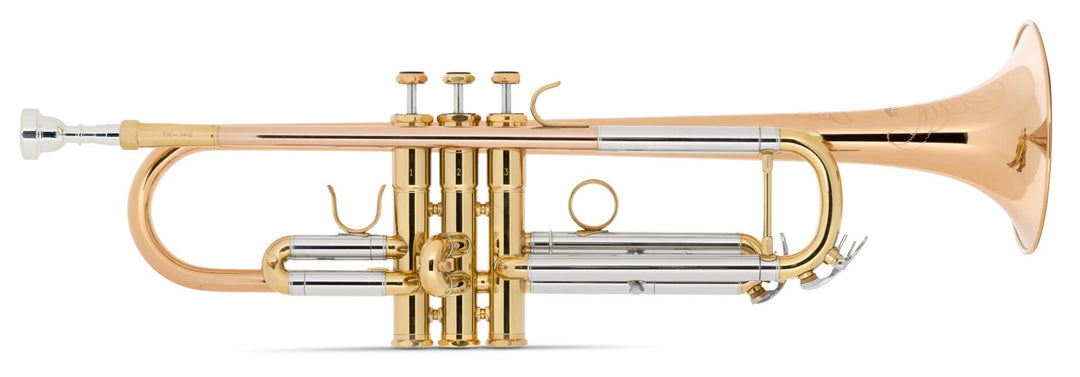 Lechgold TR-14G Bb-Trompete (für Einsteiger und Fortgeschrittene, Edelstahl-Ventile, inkl. Koffer, M