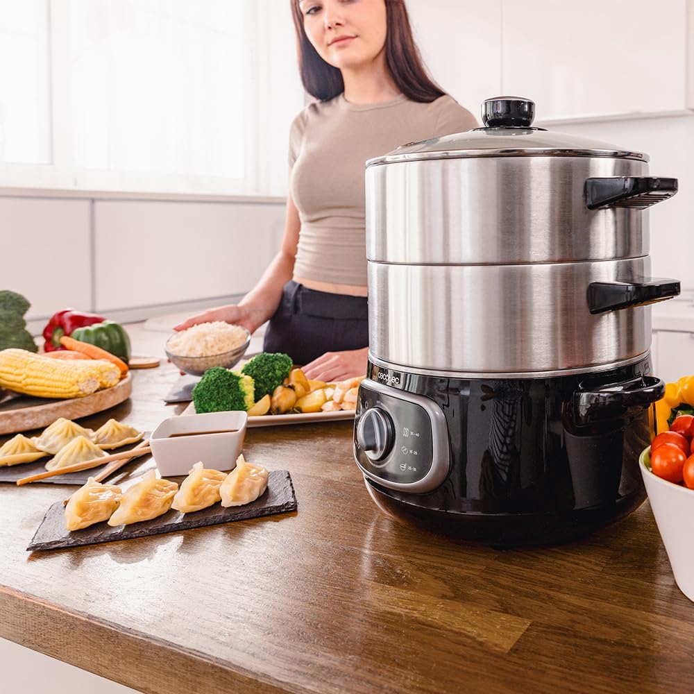 Cecotec Elektrischer Dampfgarer Vapovita Steelpot. Leistung 1300W, Edelstahlbehälter, 10L, einstellb
